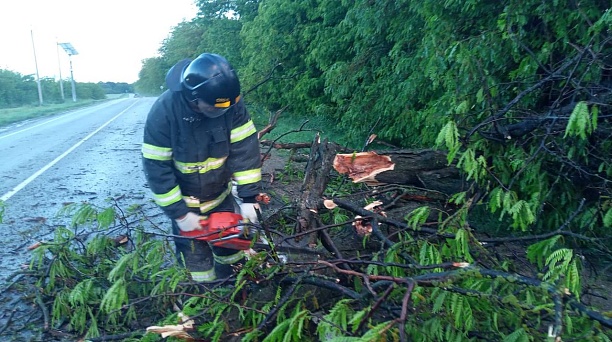 Убирали упавшие деревья, откачивали воду, патрулировали реку Кубань: в Краснодаре подвели итоги недельной работы спасателей 