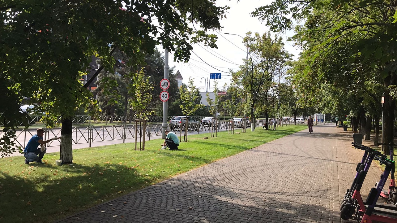 Очередные субботники в ходе осеннего месячника санитарного порядка прошли в Прикубанском округе