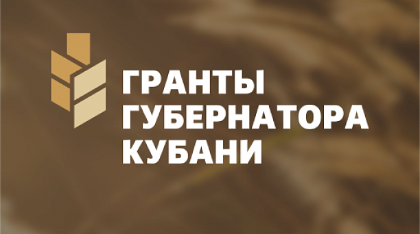 Краснодарские общественные организации получили гранты на реализацию проектов