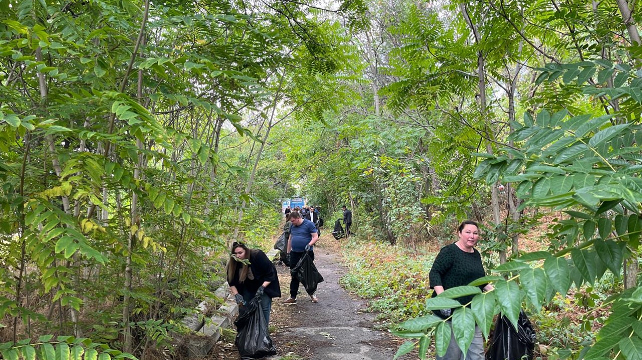Фото: администрации Центрального округа