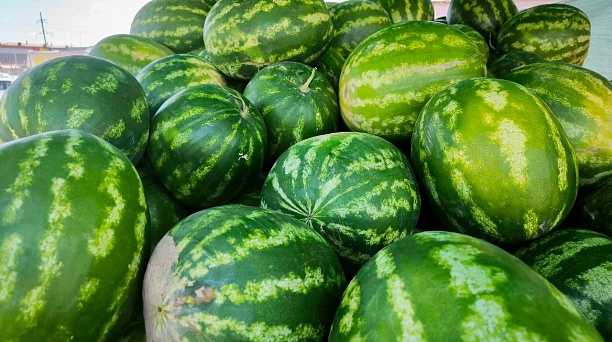 Выбрать арбуз, дыню и другие продукты краснодарцы смогут на ярмарках выходного дня