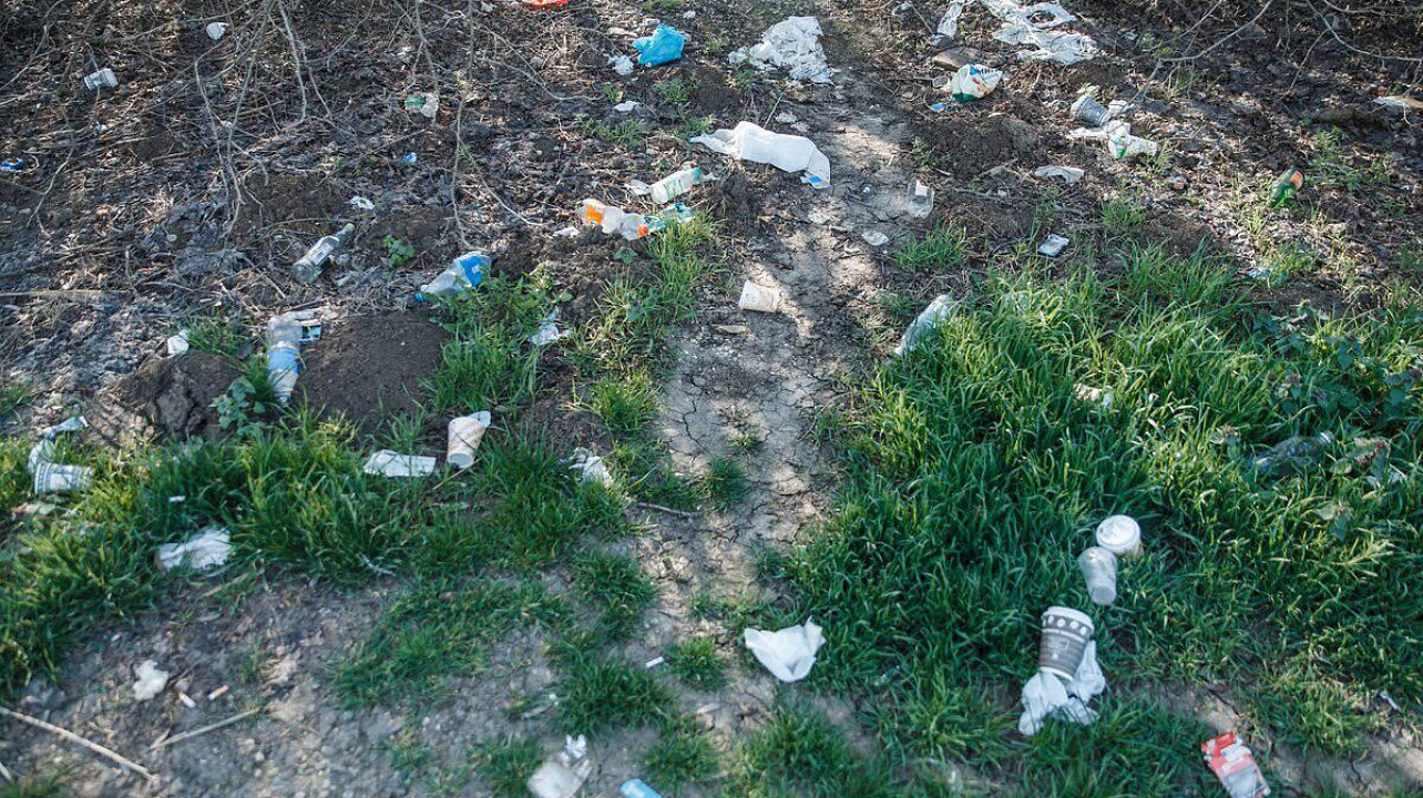 Фото: Даниил Коноплев