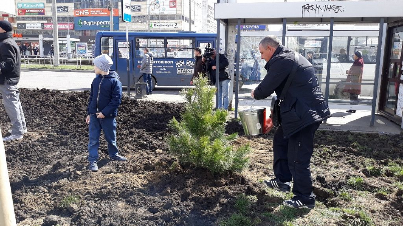 В Юбилейном микрорайоне высажены новые деревья