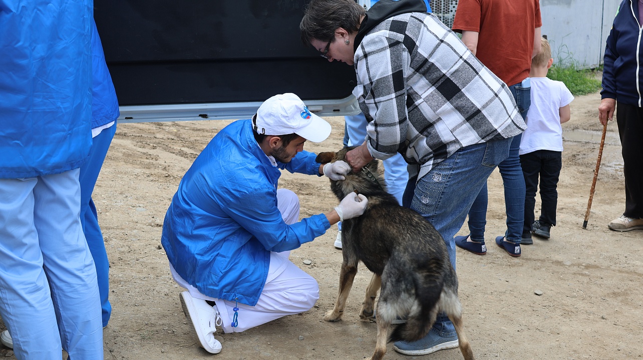 Фото: администрации Центрального округа