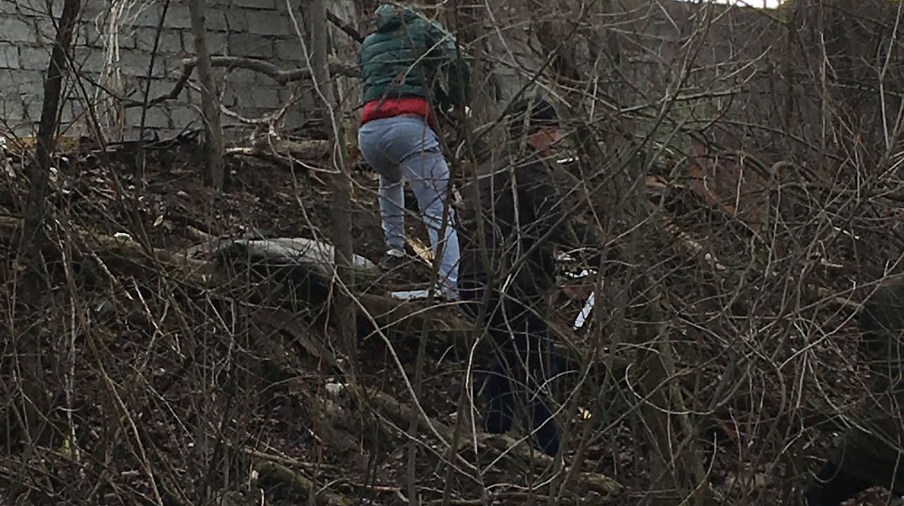 На побережье  Кубани продолжаются работы по ликвидации свалок