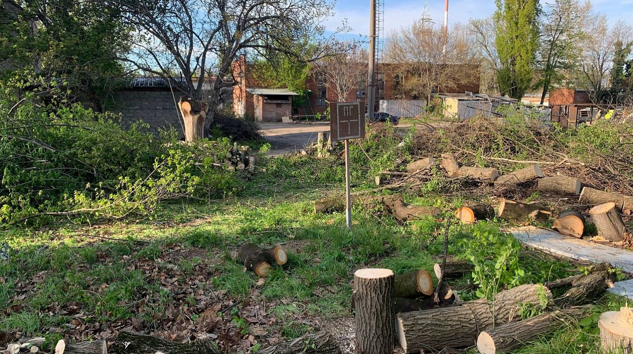 Фото: Пресс-служба администрации Краснодара