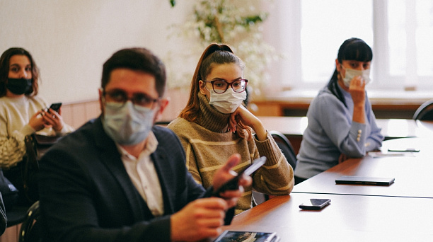 На ул. Красной в Краснодаре дополнительно высадят хвойные деревья и кустарники