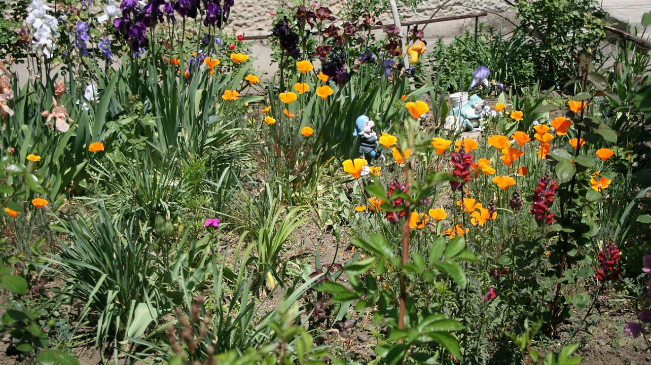 В Прикубанском округе подвели итоги конкурса на лучший ТОС