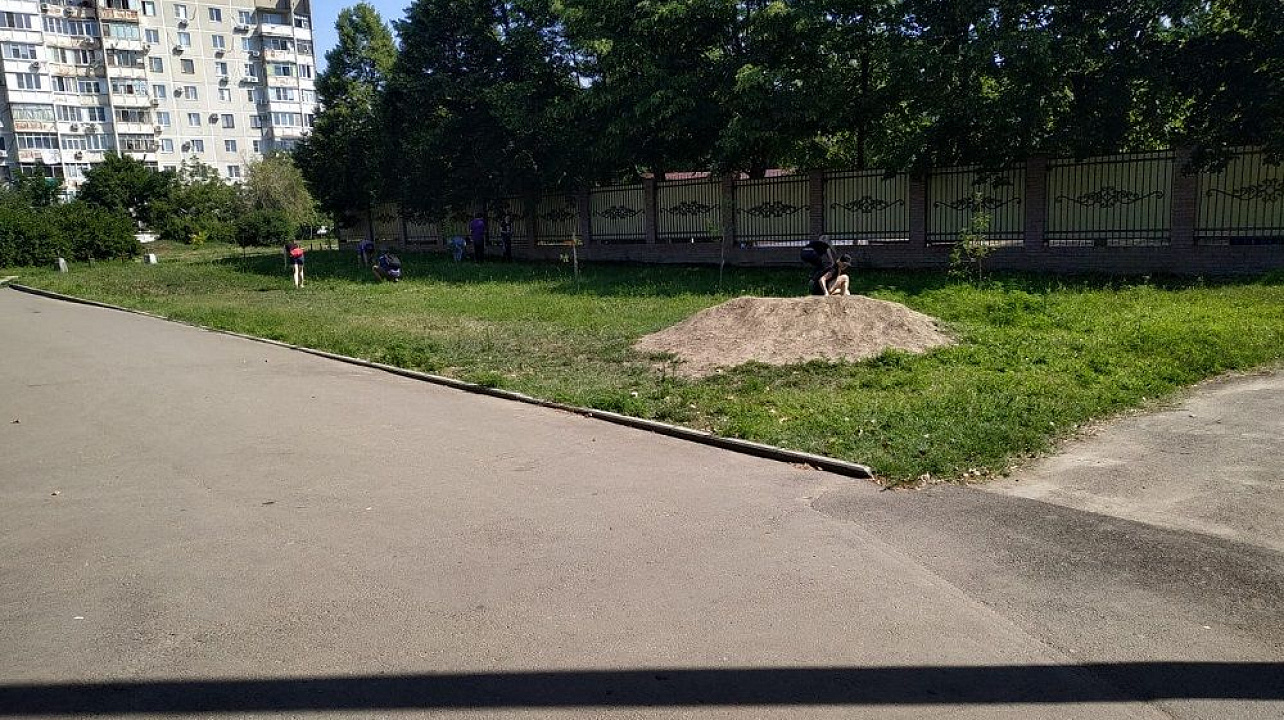 Краснодар_ЗВО_амброзия (1).jpeg