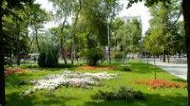 Самый Центральный округ будет еще и самым зеленым