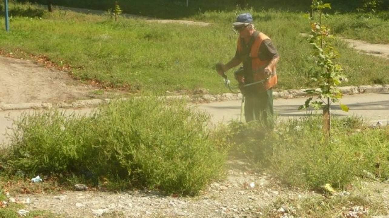 В Центральном округе идет активная борьба с сорной растительностью