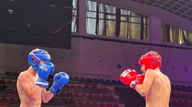 Бокс, карате и бразильское  джиу-джитсу: для краснодарцев прошел  фестиваль единоборств