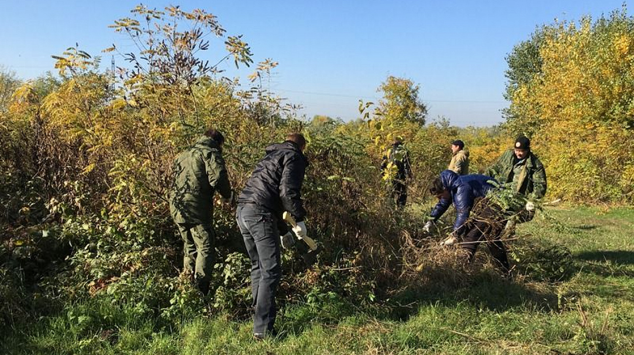 В преддверии праздника в Западном округе прошли субботники