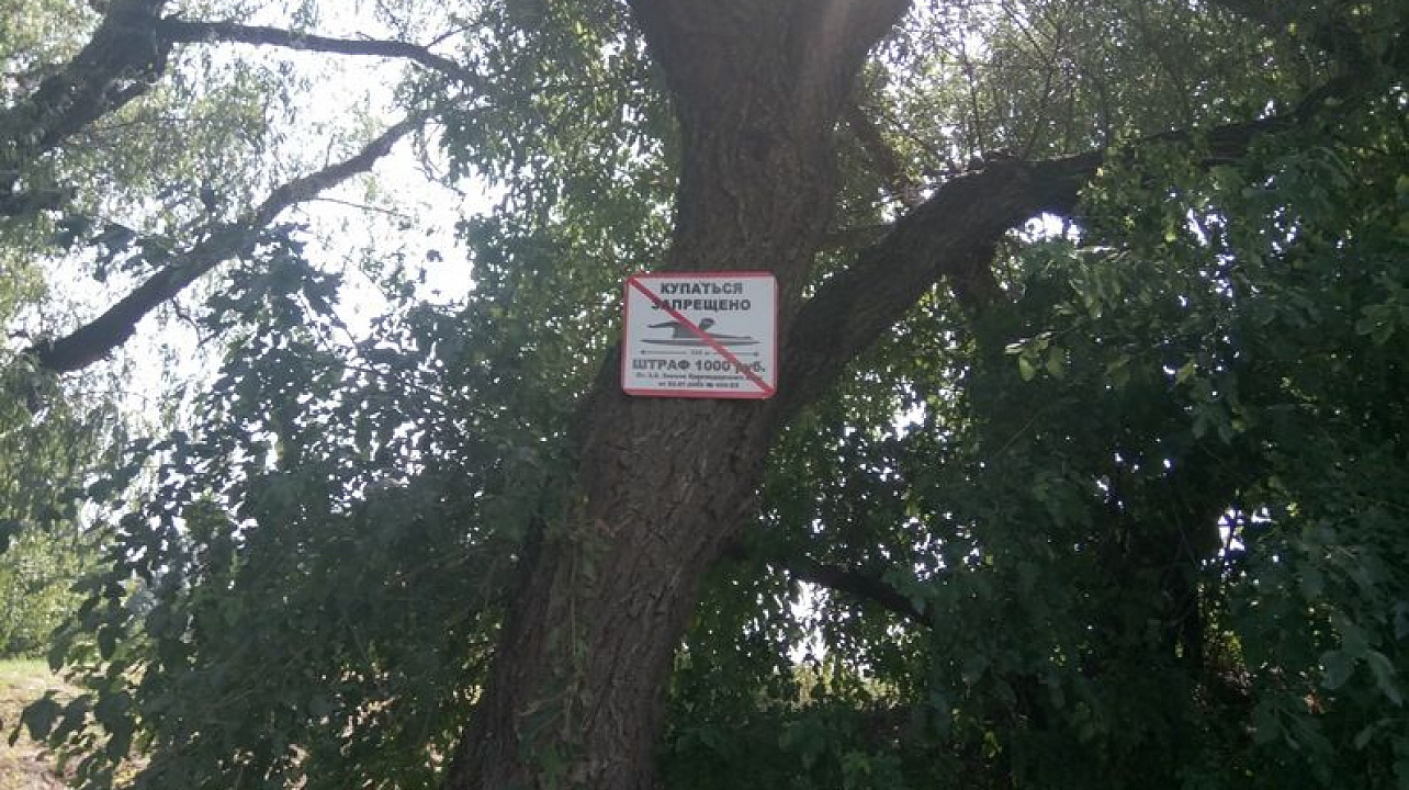 Запрещающие купание знаки 4.jpg