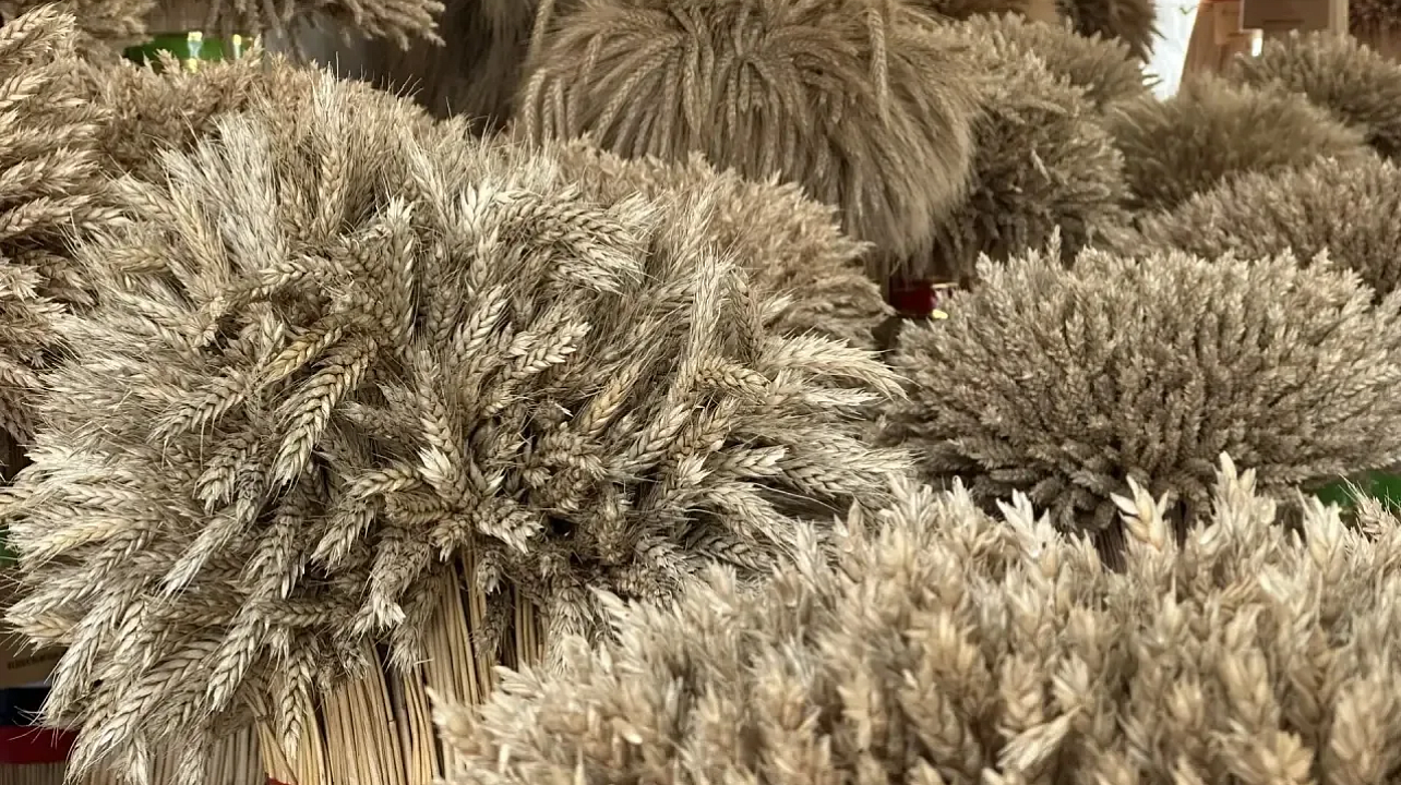 Фото: МТРК "Краснодар"