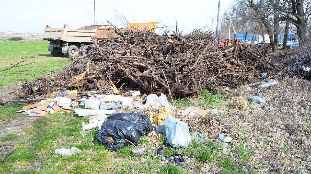 Группа компаний «ИНСИТИ» подержала инициативу главы Краснодара присоединиться к международному челленджу #trashtag по уборке мусора