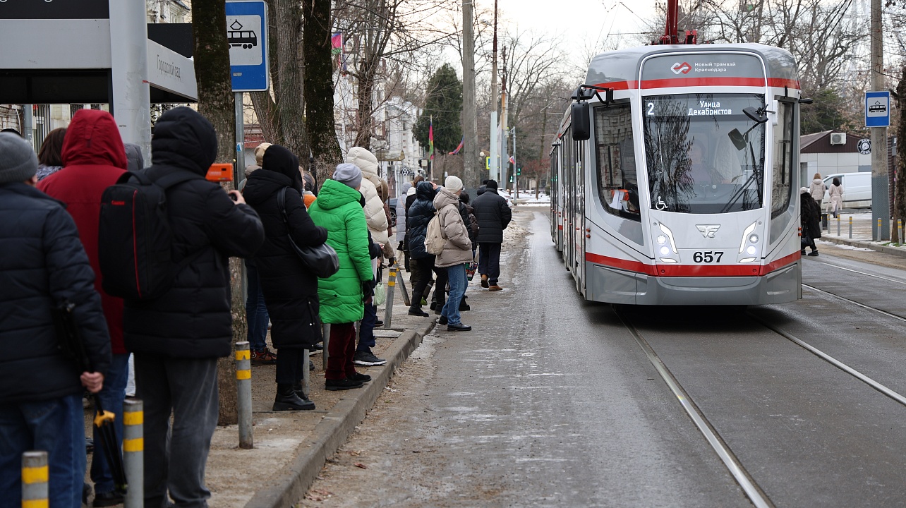 Фото: городская Дума Краснодара