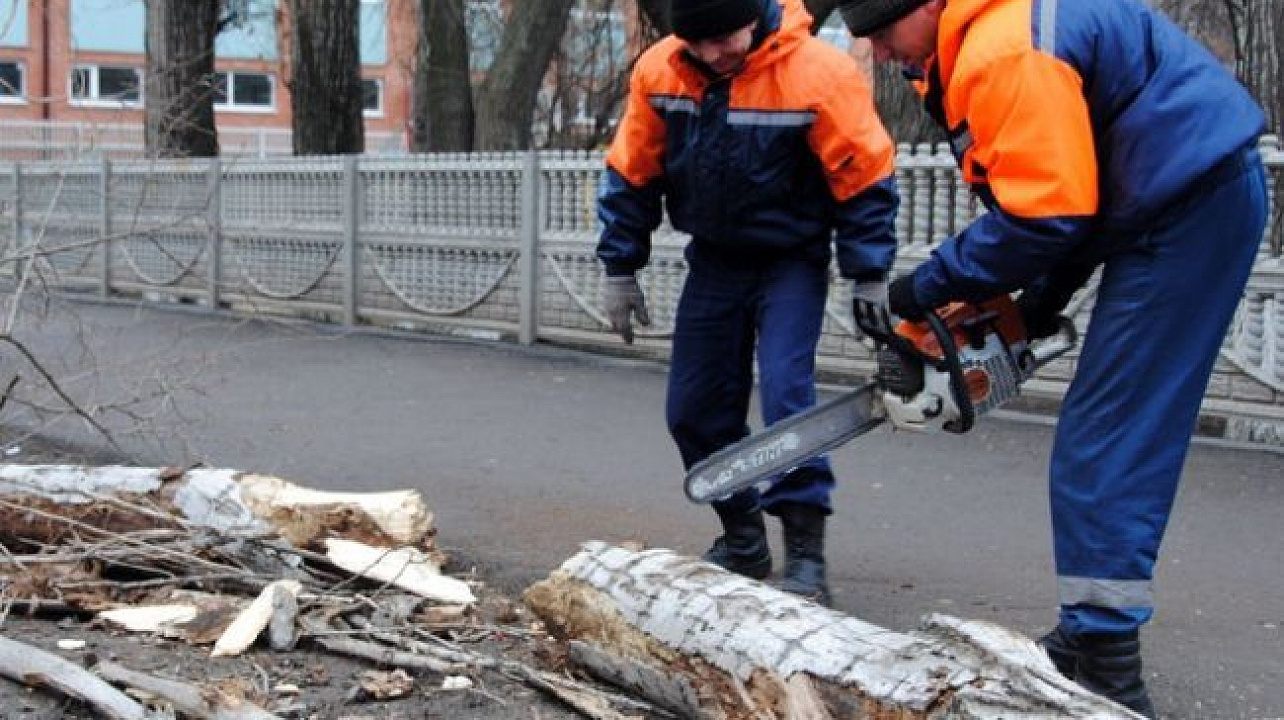 В Краснодаре прошел седьмой общегородской субботник по ликвидации последствий «ледяного дождя»