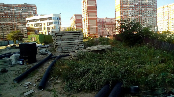 В Западном округе продолжается борьба с сорной растительностью и американской белой бабочкой