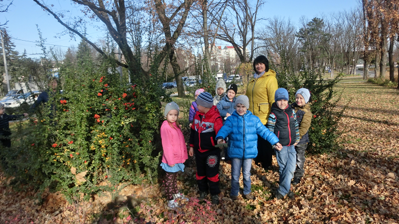Осеннюю прогулку в парк совершили воспитанники детского сада