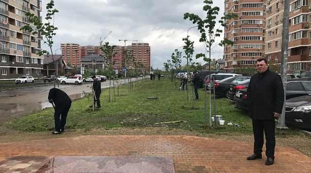 Субботник на алле Памяти Чернобыльцев прошел в Краснодаре 22 апреля