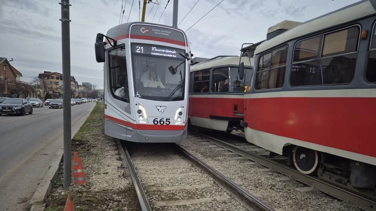 Фото: Пресс-служба администрации Краснодара