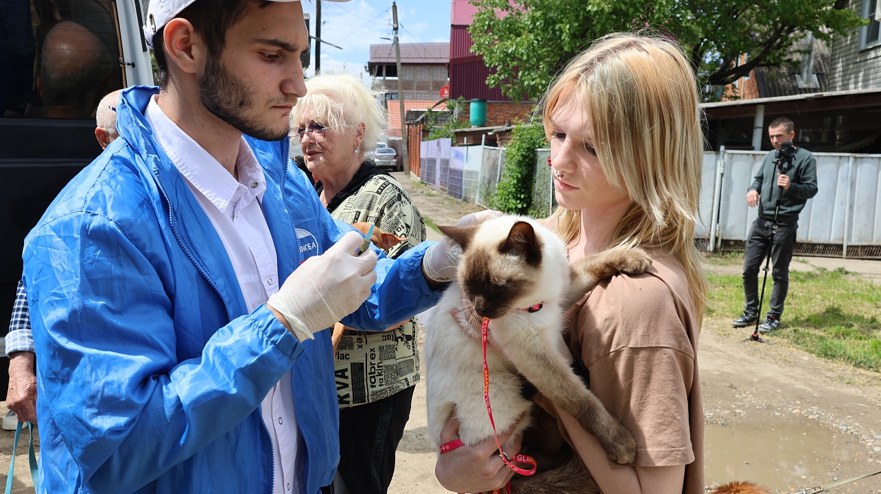 Фото: администрации Центрального округа