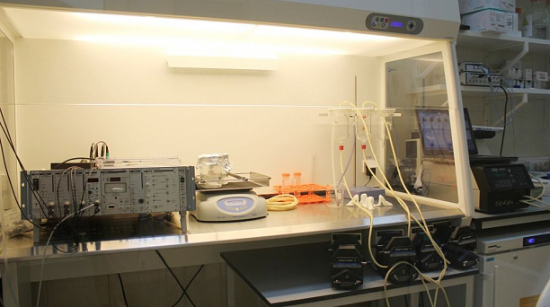 Eвгений Первышов: Кубанский государственный медуниверситет — «кузница» кадров и технологий для здравоохранения Краснодара