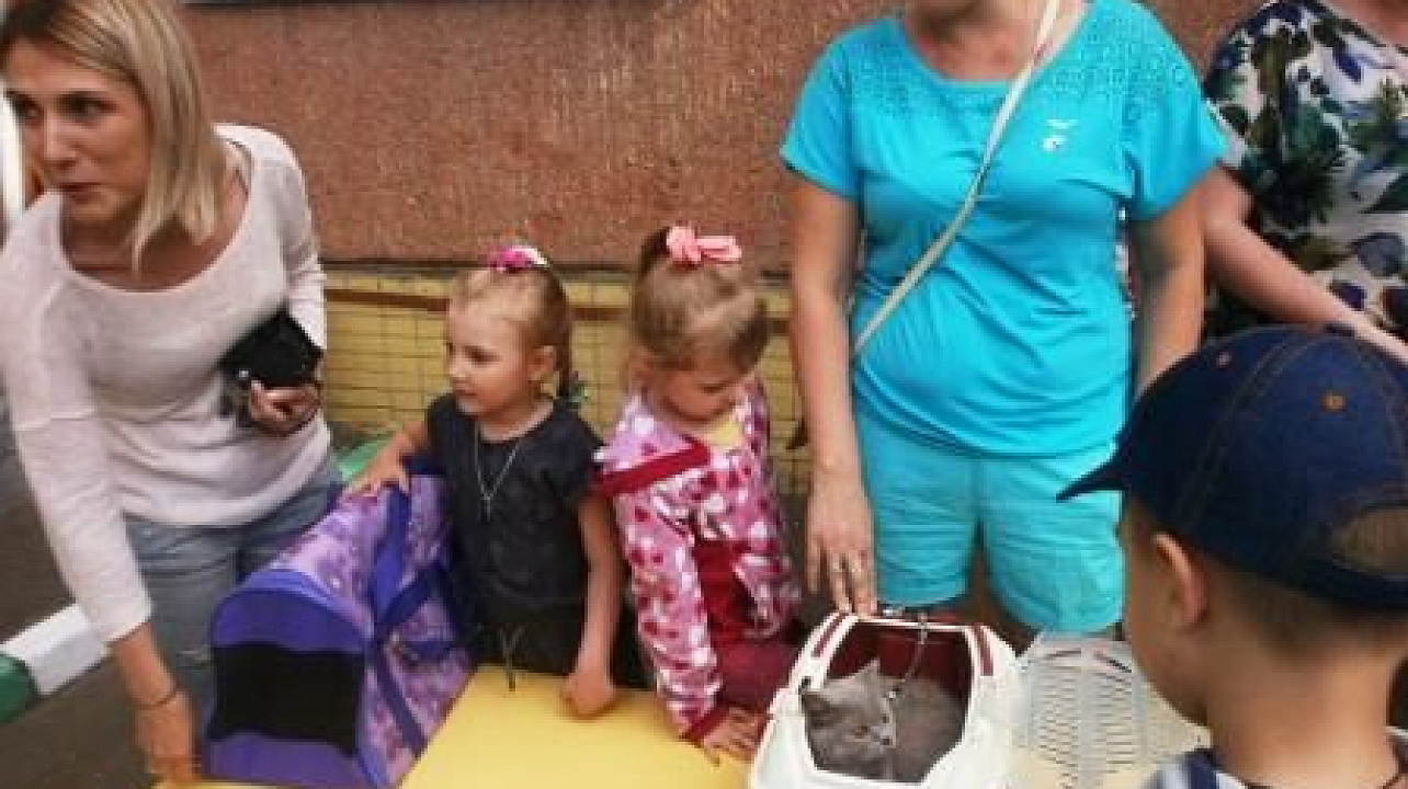 В детском саду Западного округа провели акцию «Мой любимый питомец»