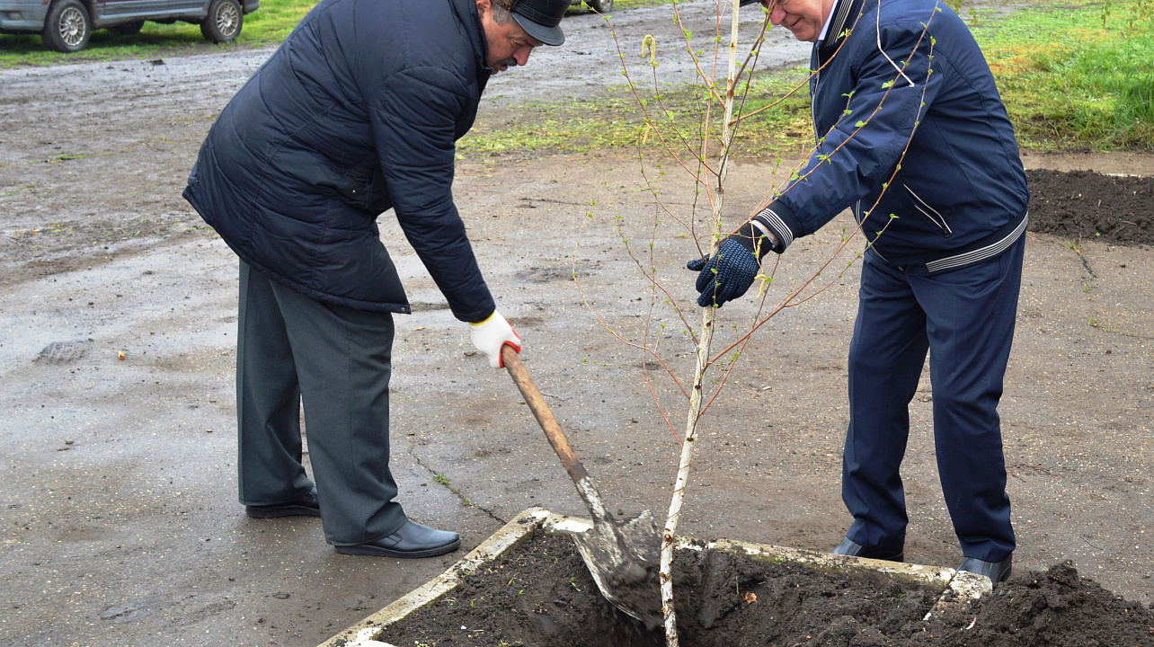 ОПХ «Центральное» приняли участие в челлендже #10000деревьевкраснодару