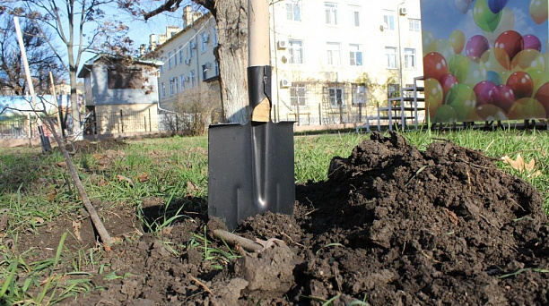 Глава Краснодара посадил дерево в новом сквере на территории лицея № 48