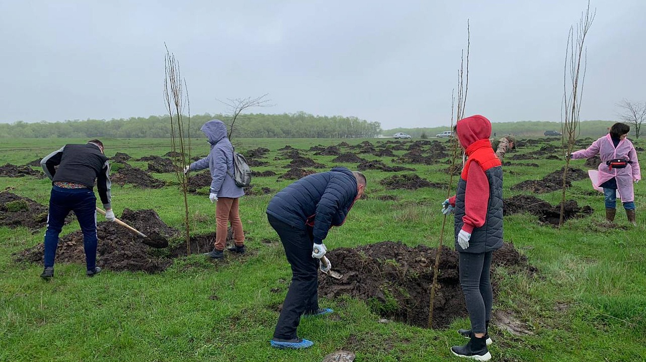 Фото: Пресс-служба администрации Краснодара