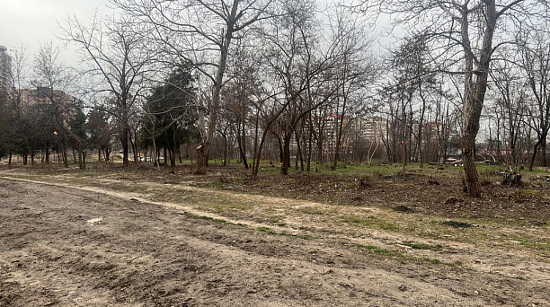 Стартовало благоустройство Николаевского бульвара