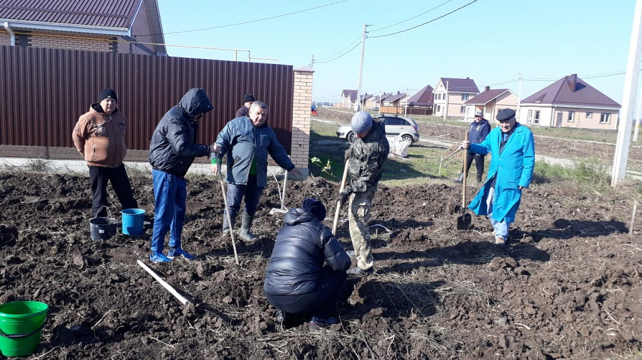 В минувшие выходные в 1-ом отделении учхоза «Кубань» и мик-рорайоне имени Вавилова высадили деревья