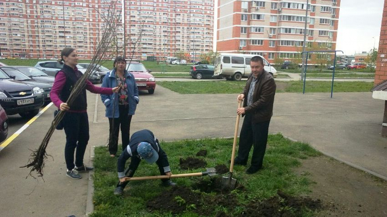 В Западном округе подведены итоги работы в период Всекубанского и общегородского двухмесячника