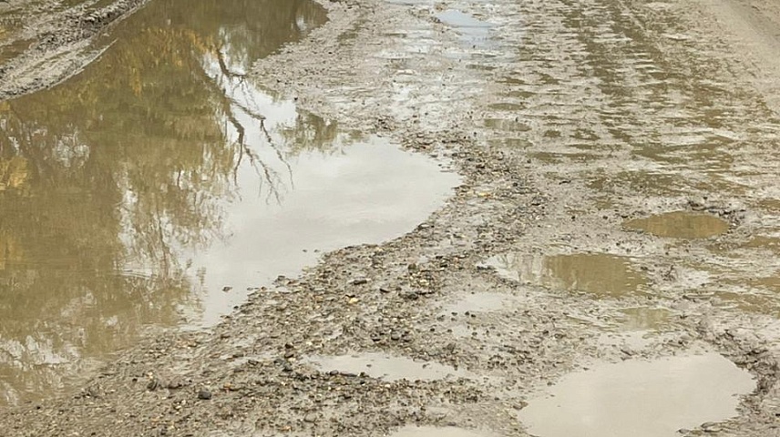 Фото: Шаблин М.С.