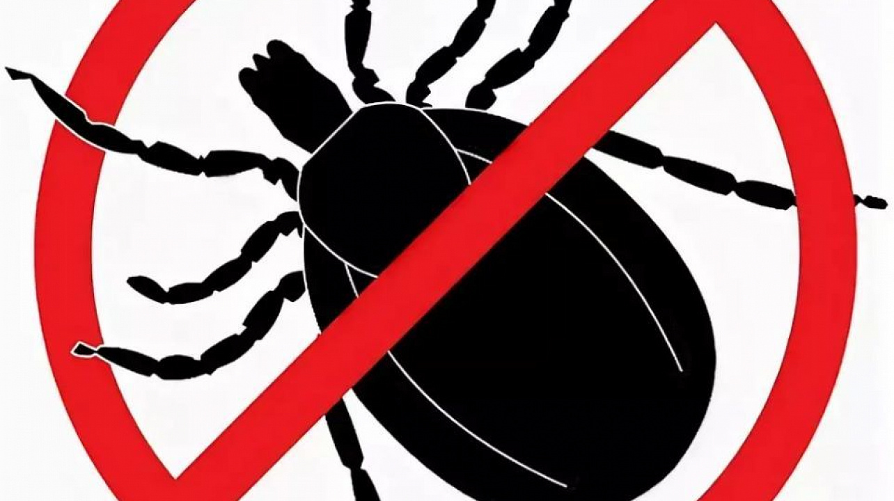 Осторожно! Лихорадка Западного Нила__.jpeg