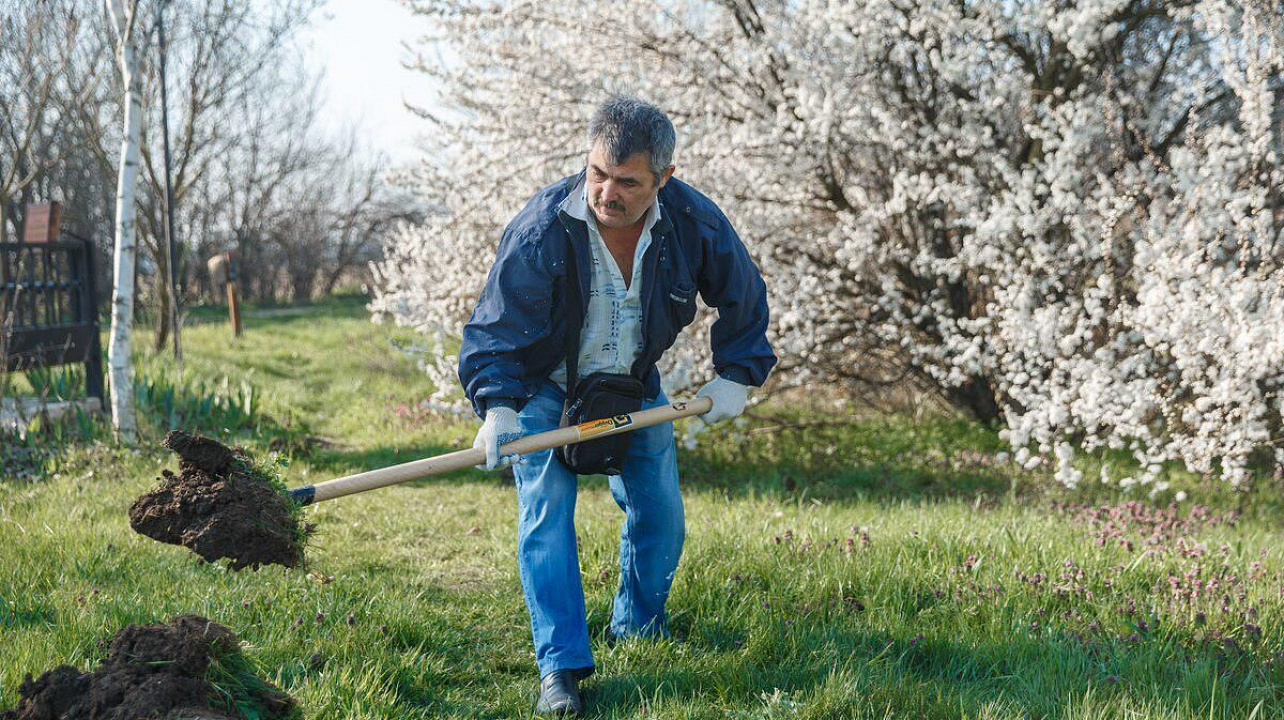 Фото: Даниил Коноплев