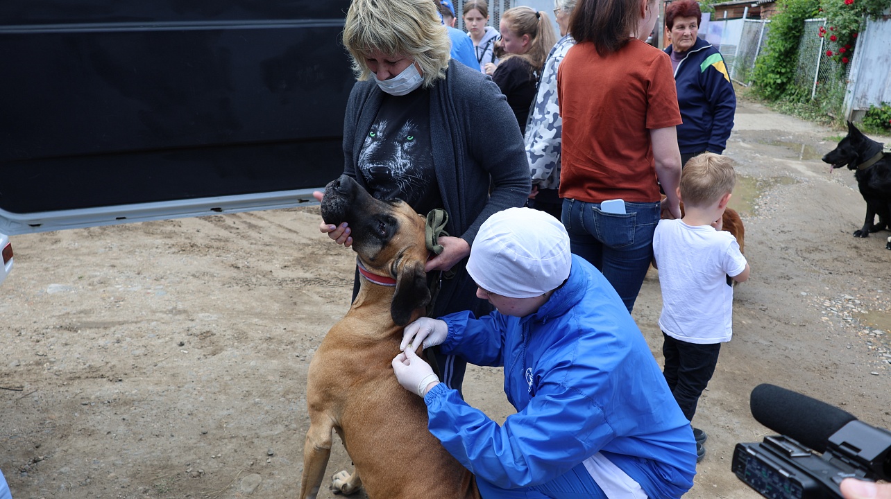 Фото: администрации Центрального округа