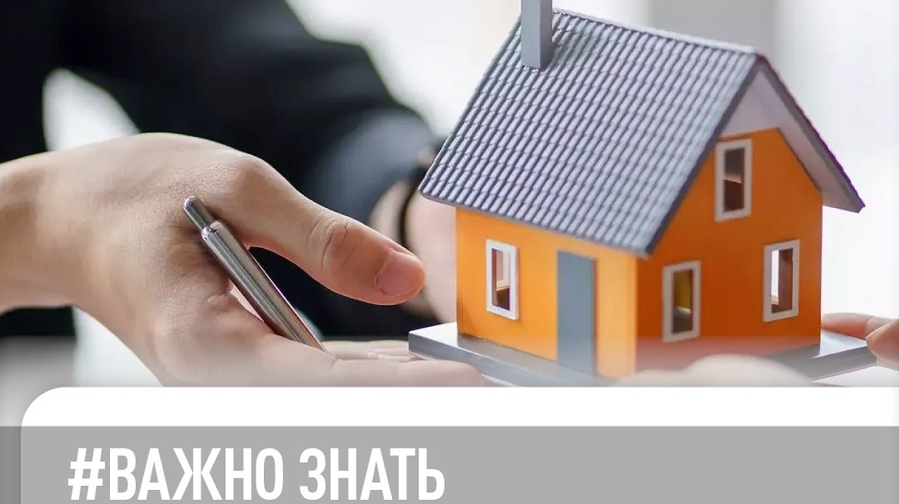 Фото: ИФНС №4 России по городу Краснодару