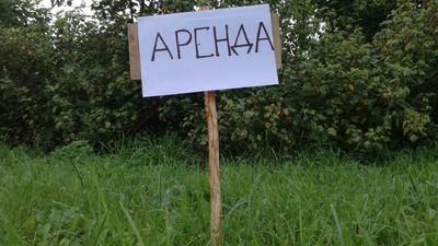 250844 e4202c73 департамент имущественных отношений краснодара телефон