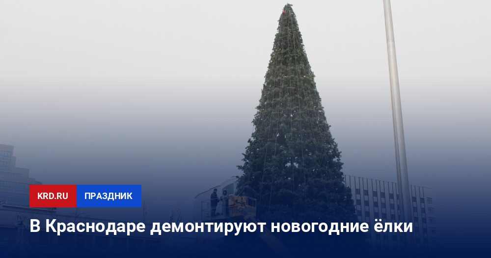 Новогодние Елки Краснодар Новогодние Елки Краснодар